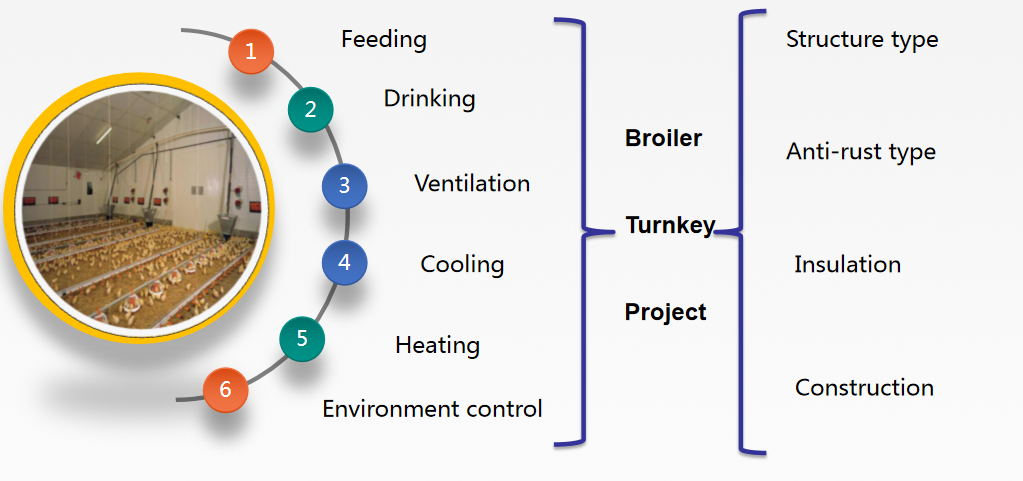 broiler equipment.png