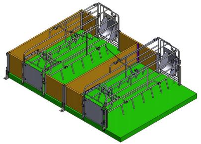 Clôture de gestation pour élevage porcin