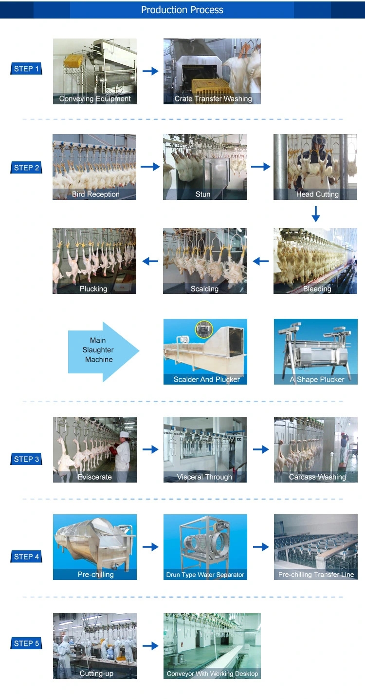 100-300bph-Chicken-Slaughter-Machine-Small-Poultry-Slaughterhouse.webp.jpg