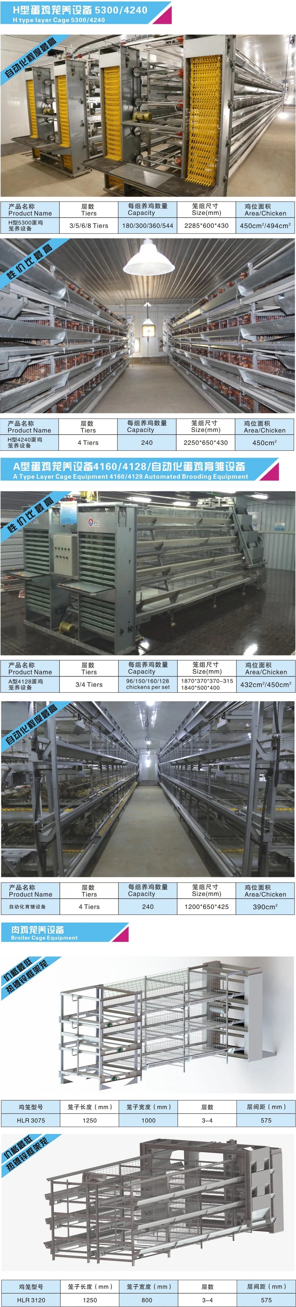 Automatic-Battery-Broiler-Cages-Steel-Structure-Egg-Layer-Chicken-House.webp.jpg