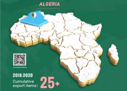 Cas de projets en Algérie